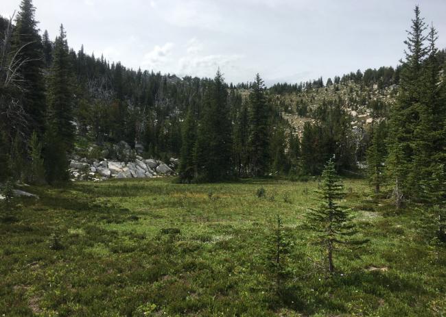 Bog before final ascent to ridgeline