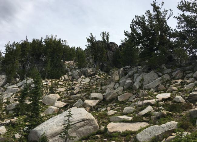 Boulder path to ridge