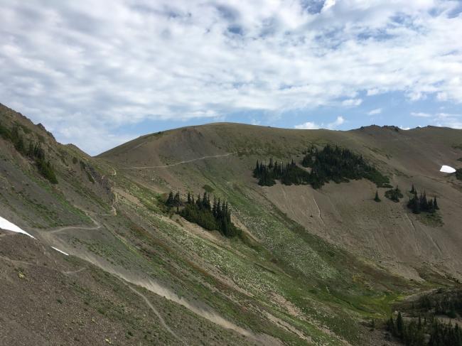 View of trail