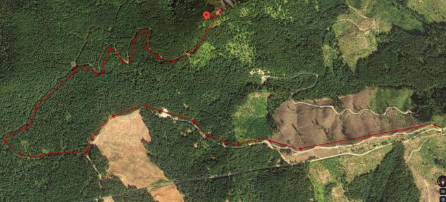 Satellite View with trail annotations