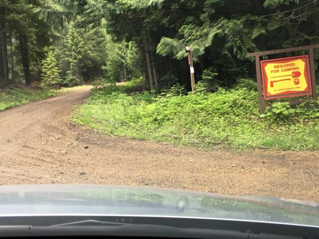 Photo shows the fork to the left to stay on NF-86 after entering the forest boun