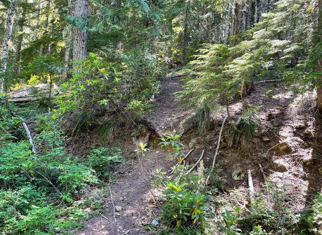 MultorporSummitTrailHead-off of powerline trail