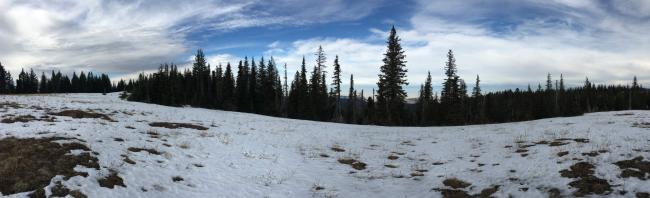 Yellow Jacket Bench Pano NW