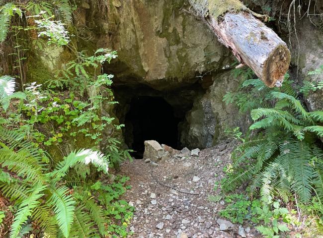 Bonanza mine entrance