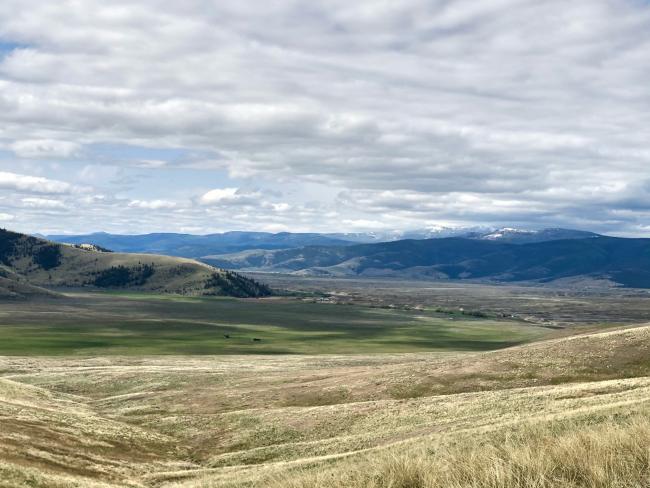 Low GrasslandTerrain