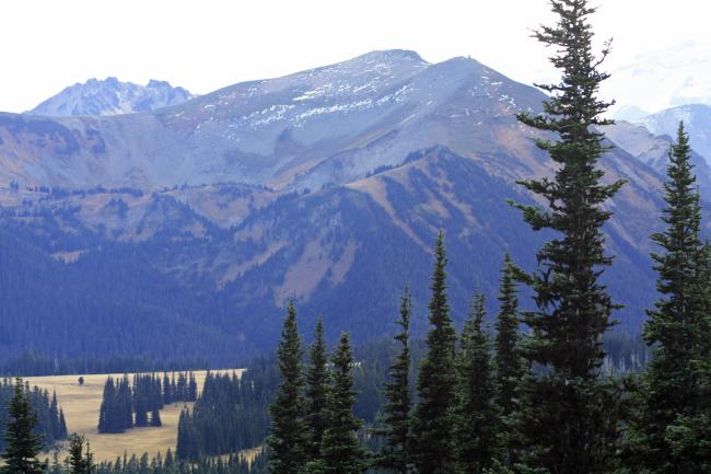 Grand Park in Mt Rainier National Park