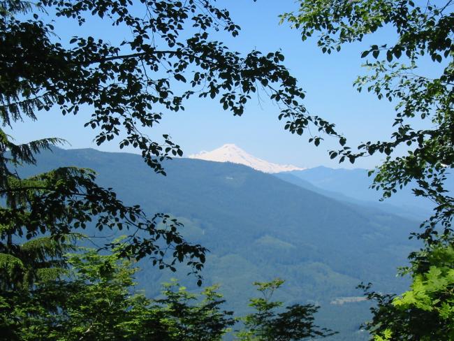 Mt. Baker from the road on the way down.