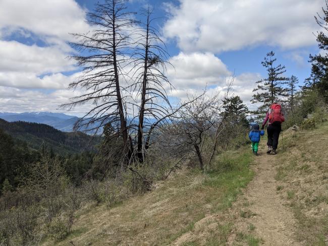 Single track on the way to Anderson Butte.