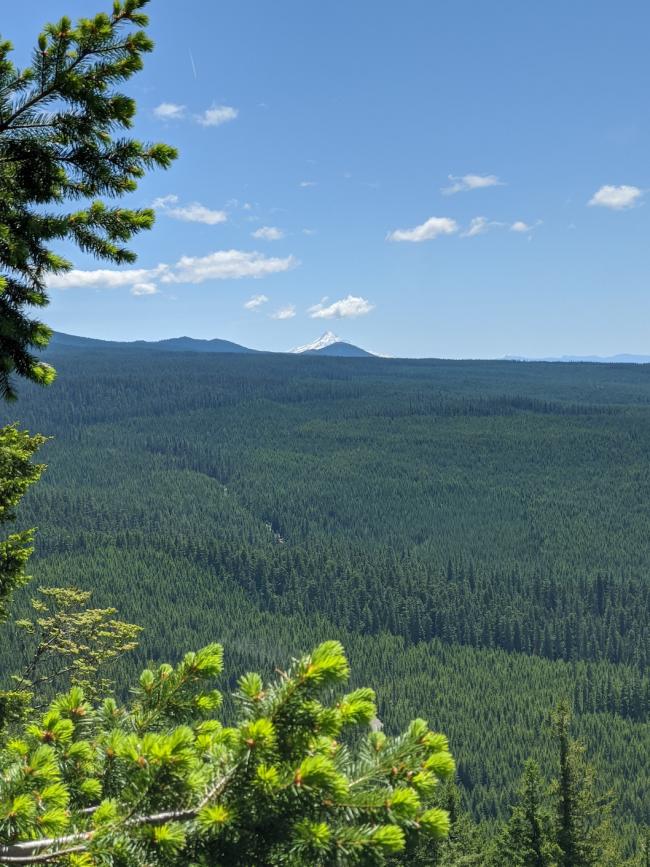 Mt. Hood from the top of the top of the quarry