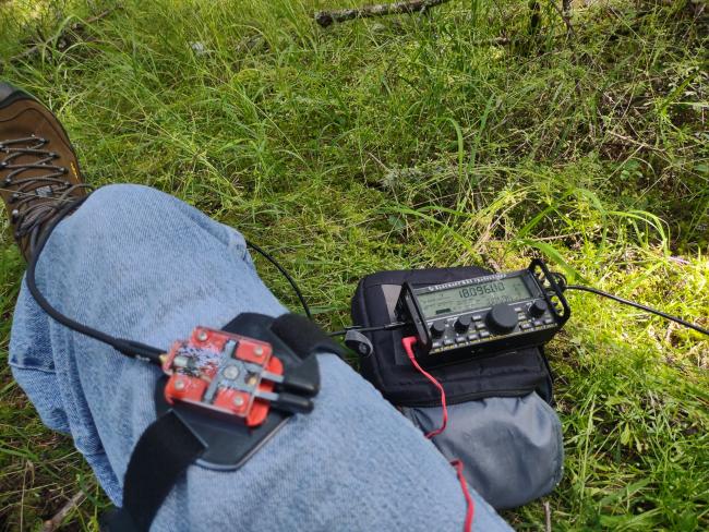 CQ SOTA