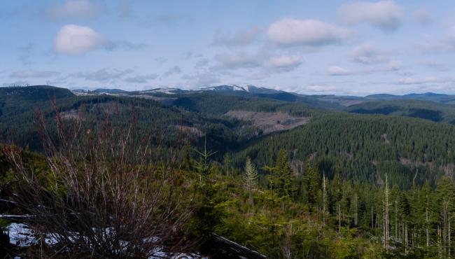 Views from the summit with trees and mountains