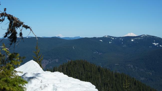 View of Mt Rainier and Mt Adams from ridgeline