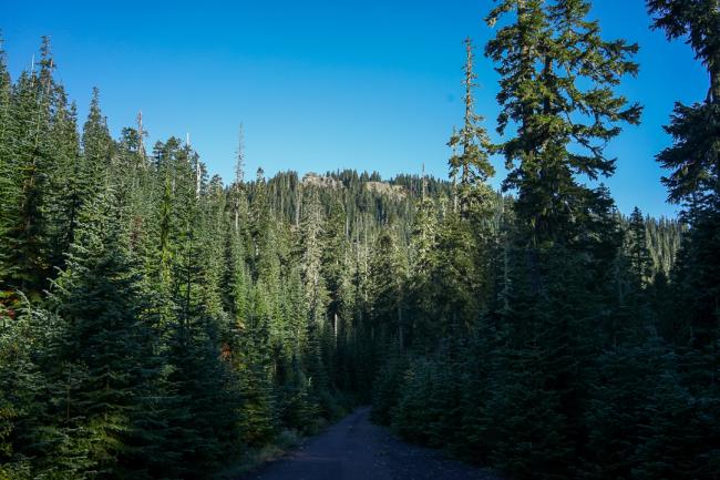 Snagtooth Mtn