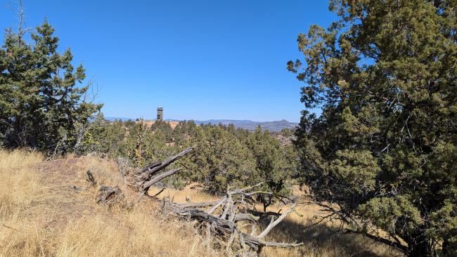 The firewatch tower on Green Mountain (also in AZ)