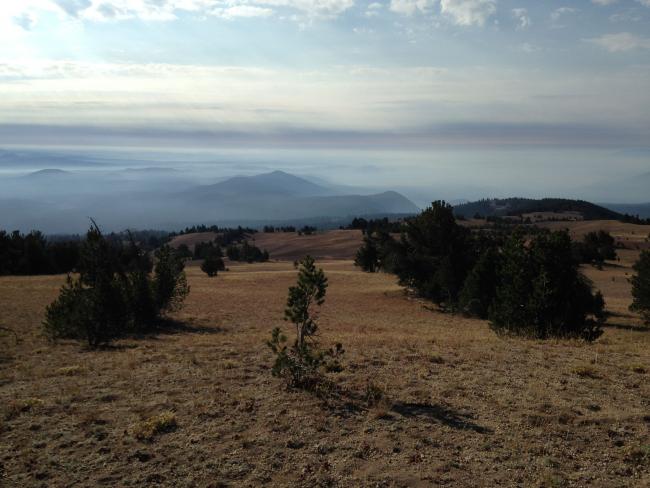 Looking south on ascent of Dutton Ridge, very smoky day