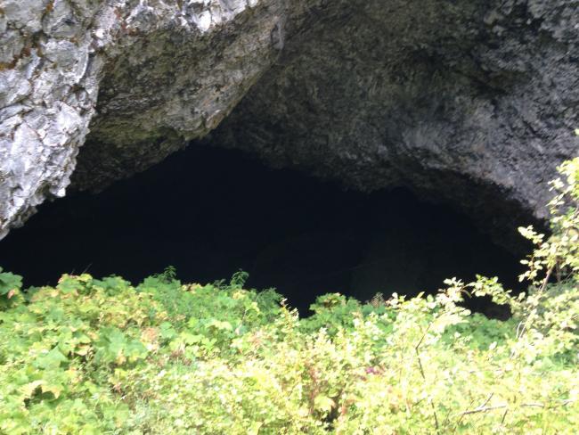 Looking up into Boca Cave