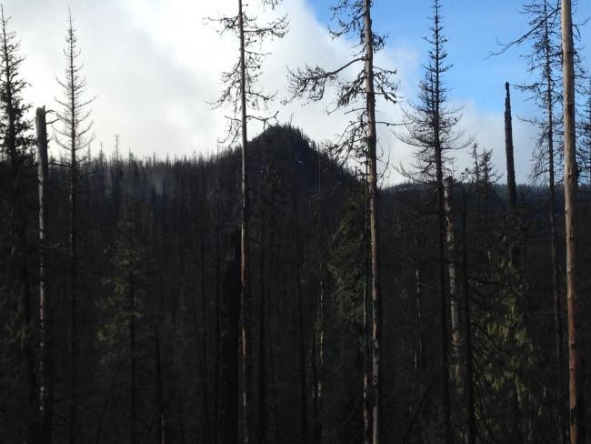 The "end-on" view of the summit from beginning of Patjens trail