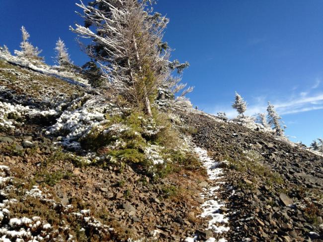 Nearing the summit it becomes rather rocky