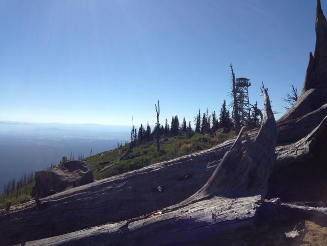 Looking towards fire tower from operating position