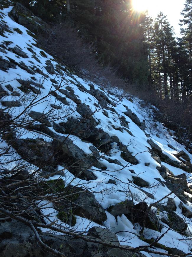 The talus slope, cross and ascend diagonally