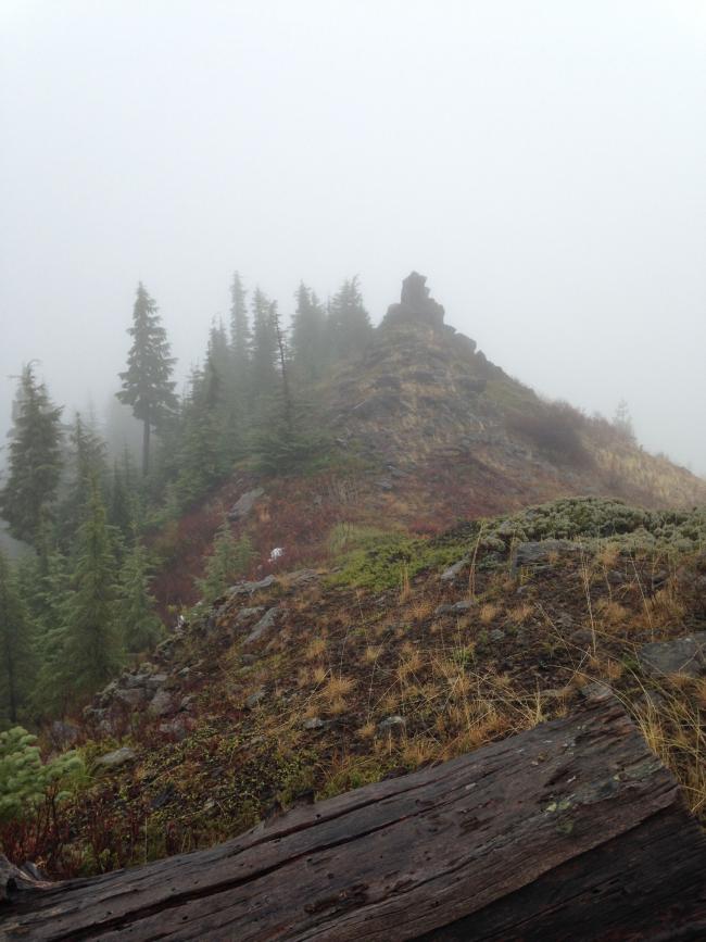 Heading up Buck Mtn.