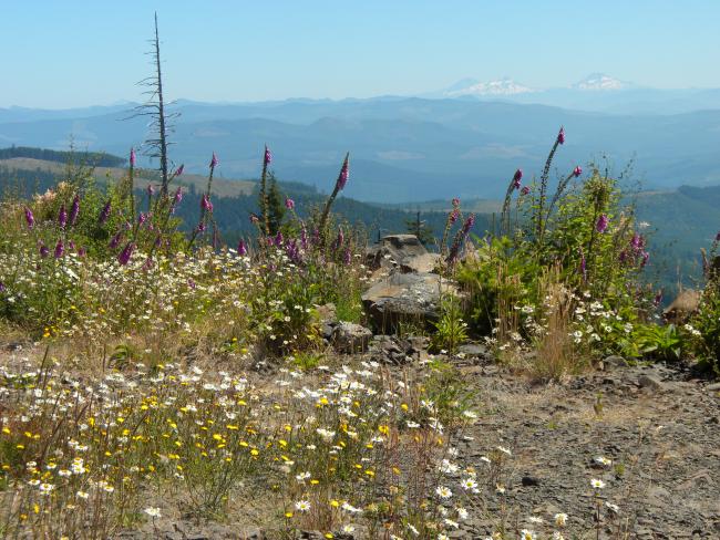 Three Sisters in the distance