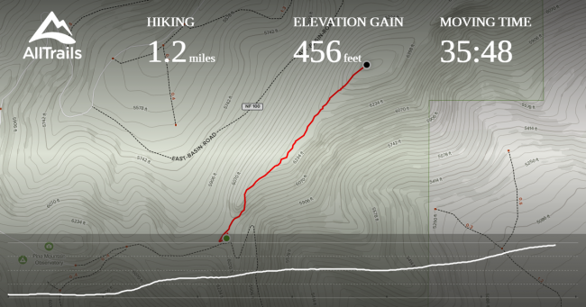 AllTrails recording of the hike to the Pine Mountain Summit