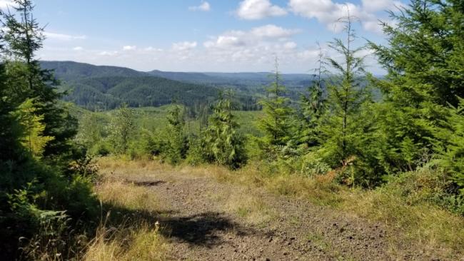 A great view to the west from the road on the way back down