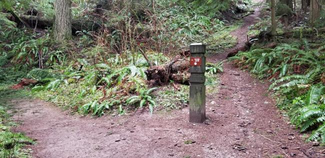 First trail marker - can go left, or straight is a little shorter