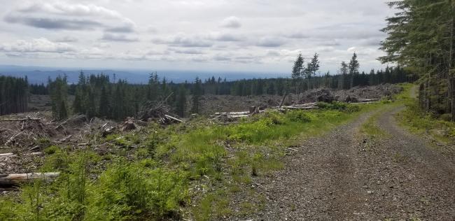 Views looking west ~2.5 miles into hike