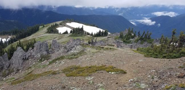 From near summit looking west along the ridge