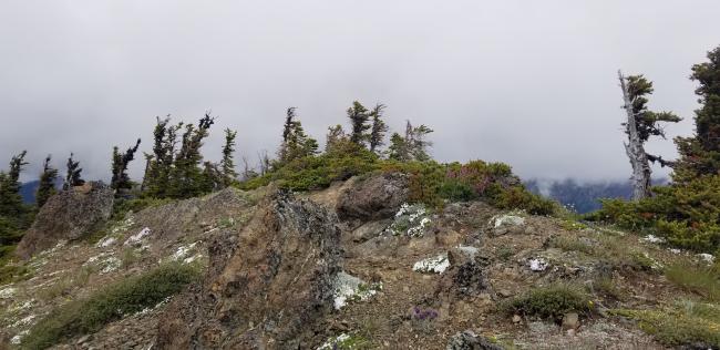 Eagle Point summit