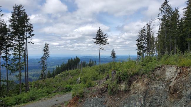 View from summit looking approx. northwest