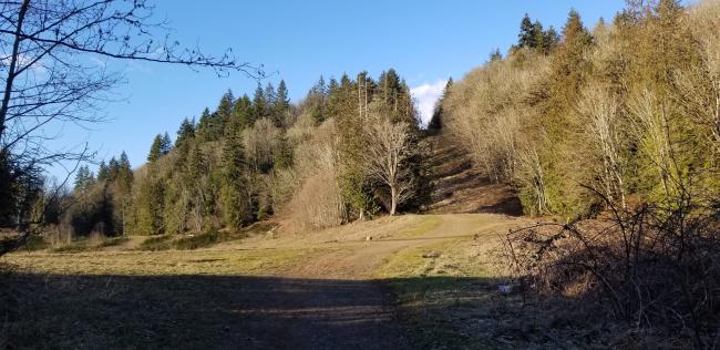 Looking North up steep section of the Pipeline Trail