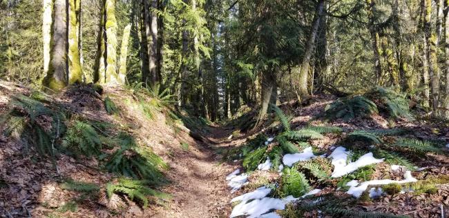 On Loren's Ridge trail