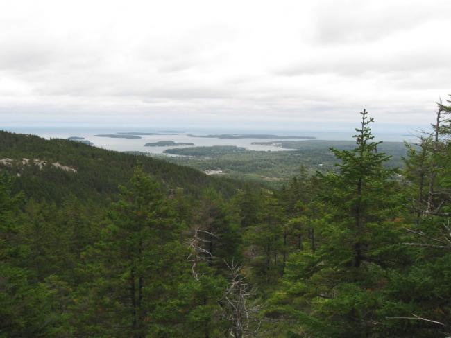 Southwest Harbor view