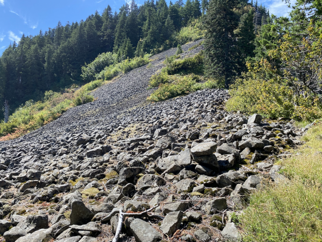 Hiking along Talus Field