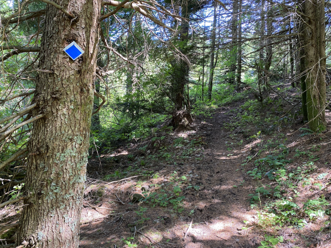 Trail is Well Marked