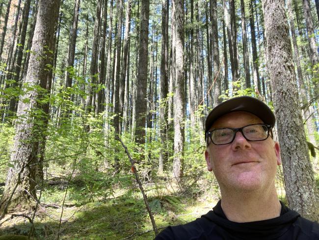 Wonderful dappled light, tall trees