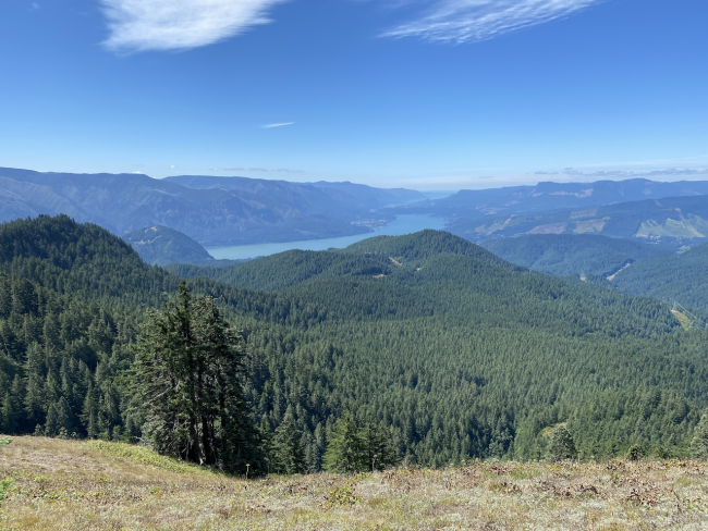 Fabulous Gorge Views