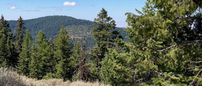 Black Mountain From Arbuckle Mountain