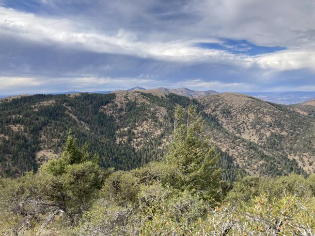 Ingle Mountain from Coal Pit Mountain