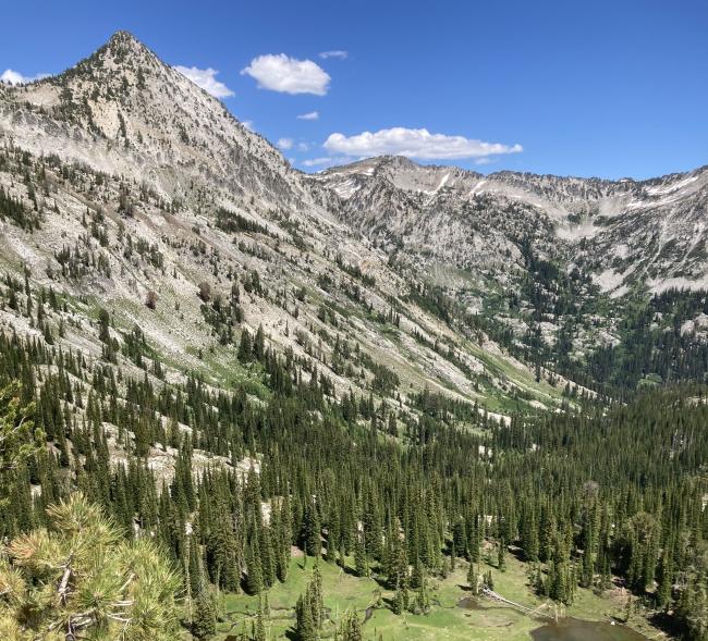 Needle Point and Cached Lake