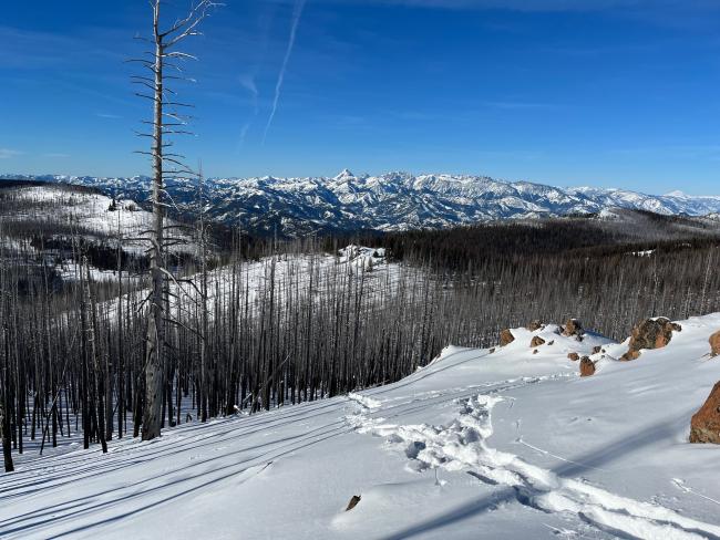 The Stuart Range