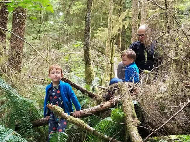 Scrambling over downed trees